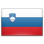 Купить виртуальный номер Словении