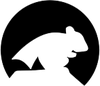 Виртуальный номер для HuntTheMouse
